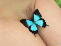 Madames Butterfly