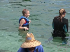 Paris gets to meet some dolphins!