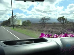 Haleakala and the nude beach with Winter!