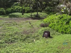 Amateur, Playa, Bikini, Penetracion con dedos, Despelote, Novia, Al aire libre, Coño