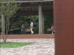 Gros seins, Collège université, Compilation, Faciale, Japonaise, De plein air, Voyeur