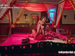 Bhabhi Fest Night Sex with Big Cock